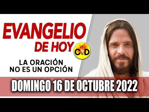 Evangelio del día de Hoy Domingo 16 Octubre 2022 LECTURAS y REFLEXIÓN Catolica | Católico al Día
