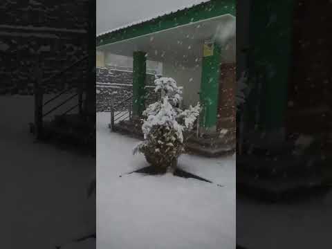 For All Snow Lover ❄️ #follow #explore #snow #winter #original