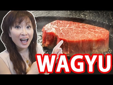 Japan Guide: Do you know WAGYU" - What WAGYU is: Japan Travel Guide