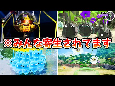 世にも奇妙なピクミン寄生の世界がおもしろすぎた…