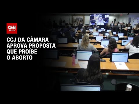 CCJ da câmara aprova proposta que proíbe o aborto | BASTIDORES CNN