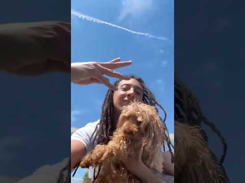 Fuori sta notte all'1 #Ghali #shorts #chillguy #chilldog #chillbro