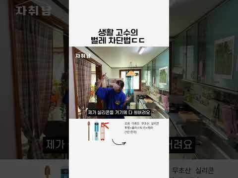 집안 벌레 스트레스 줄이는 현실 꿀팁