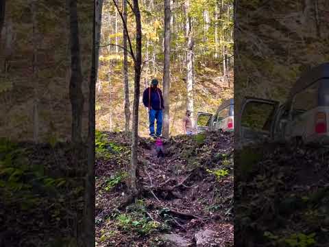 Enjoying the sounds of nature #pennsylvania #nature #travel#travelvlog #waterfall