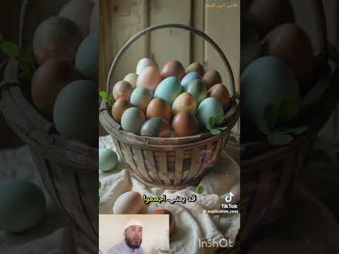 ١١ أكتوبر ٢٠٢٥