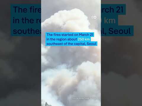 Wildfires in South Korea lead to fatalities | DW News