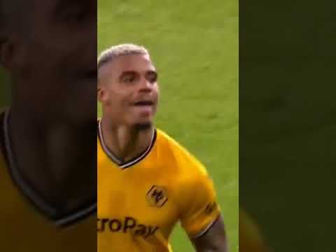 Wolves1-0Brighton