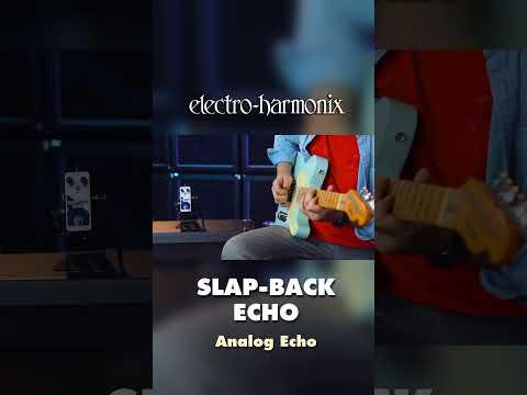 EHX Slap-Back Echo Analog Delay Reissue Pedal Demo by Tom Burda