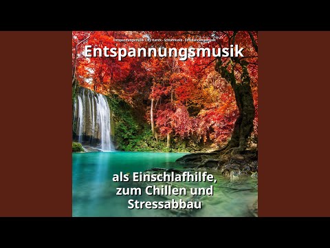 Meditieren auf dem Regenbogen