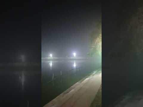 #छठ_पूजा #छठ_पूजा_reality #छठ #chhath #song #youtube #छठ_पूजा #shorts #sorts #youtube