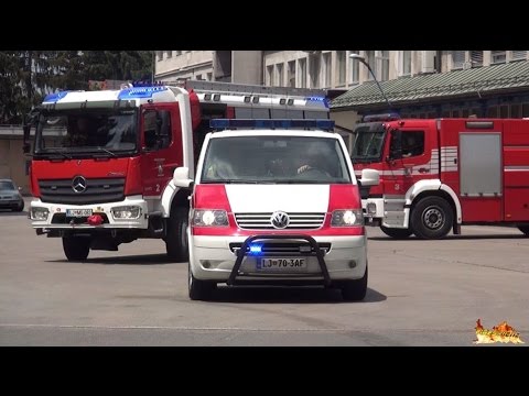 Slovenia eskorte