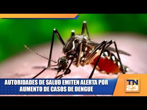 Autoridades de Salud emiten alerta por aumento de casos de dengue