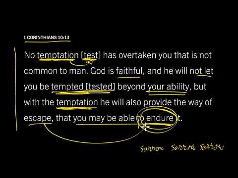 Philippians 2:25–30 // God Measures All Our Sorrows