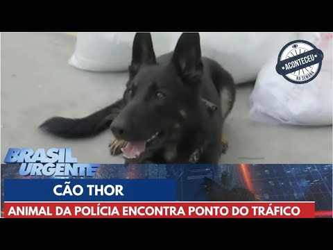 Aconteceu na Semana | Cão Thor leva a polícia até o ponto do tráfico