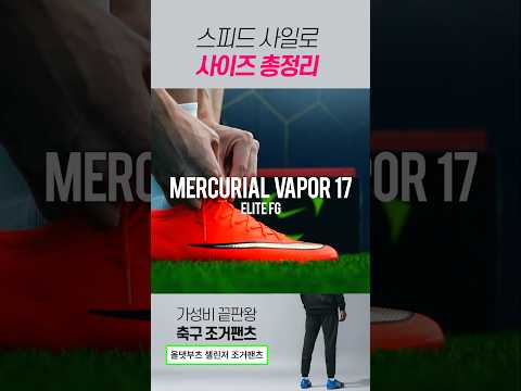 🚨스피드사일로 사이즈 <strong>총정리</strong>!