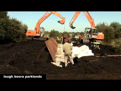 Lough Boora Parklands Sculpture - Passage Week 2