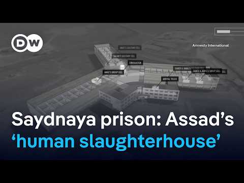 Assad regime imprisoned hundreds of thousands in Syria | DW News