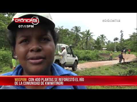Realizan jornada de reforestación en el municipio Waspám – Nicaragua