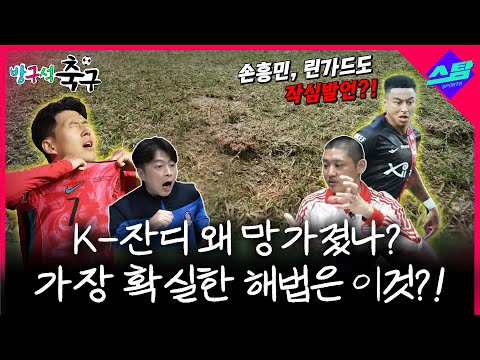 한국 잔디 왜 망가졌나? 최고 해법은 이것?!