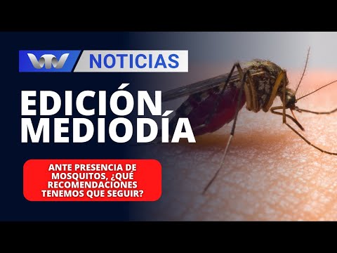 Edición Mediodía 08/01 | Ante presencia de mosquitos, ¿qué recomendaciones tenemos que seguir?