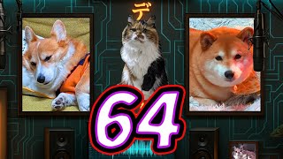 ディス子の部屋 第64回『シンプルZ』
