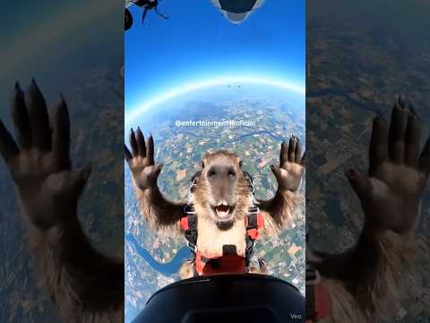 Fuera abajo #paracaidismo #capibara #ias