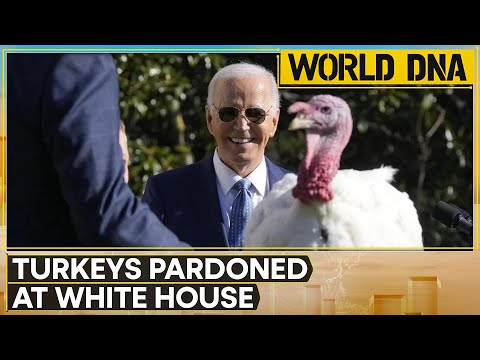 Turkeys 'Peach' & 'Blossom' Pardoned At Joe Biden's Last White House Thanksgiving | World DNA