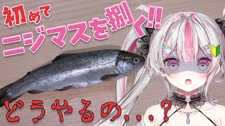【料理】初めてニジマス捌いて猫に頭盗まれる【桃川ニジマス/うおむすめ】