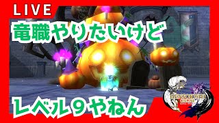 【元素騎士】新上位職やりたいけどレベル足りないって話