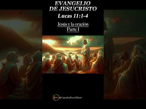 EVANGELIO DE HOY   Miércoles 09 de Octubre 2024 ? Reflexio?n, Mensaje y Bendicio?n del Di?a