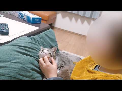 猫の運動会っていつまで続くんやろ？