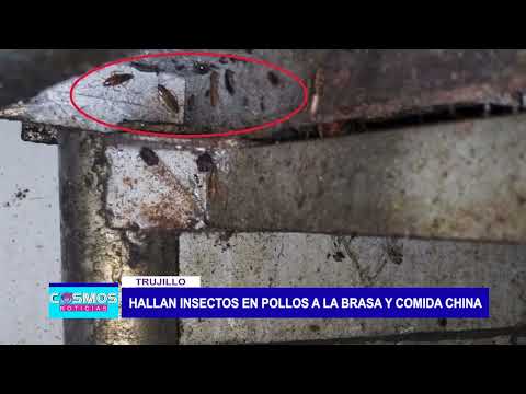 Trujillo: Hallan insectos en pollos a la brasa y comida china