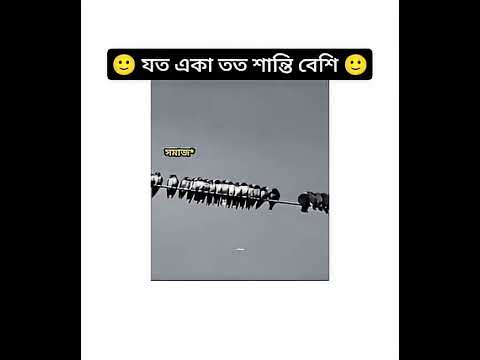 #blackpink #edit #love #blink #music #song #funny #arrahman #bollywood #coversong