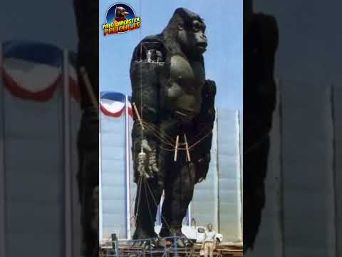 La Misteriosa Historia de King Kong En Argentina