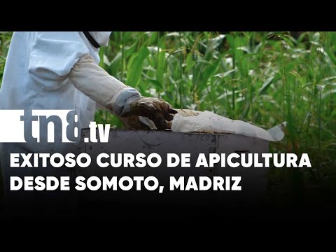 Emprendedores finalizan curso de apicultura y diversificación de fincas en Madriz - Nicaragua