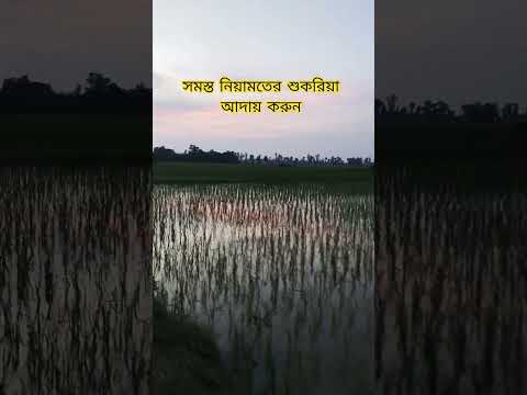 আল্লাহ যা দিয়েছেন তাতে তাঁর প্রশংসা আদায় করুন। #shorts #waz #islamicshorts #abutohamohammadadnan