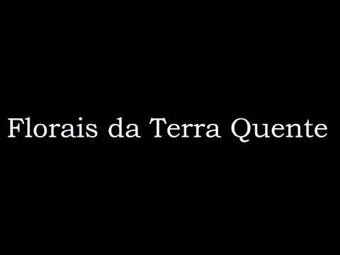 Florais da Terra Quente - O Que Sobrar