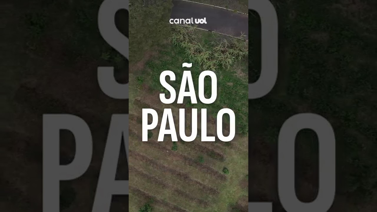 Plantação de café em São Paulo A cidade esconde alguns pés mas hoje só resta um cafezal confira