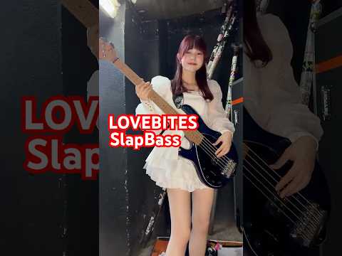 ⚡️SLAP BASS SOLO⚡️ 【LOVEBITES】Blazing Halo #LOVEBITES #bass #bassist