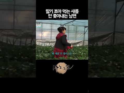 새 못 잡는다고 시도도 안 하는 남편