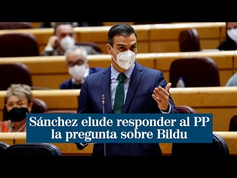 Pedro Sánchez elude responder al PP la pregunta sobre Bildu en el Senado