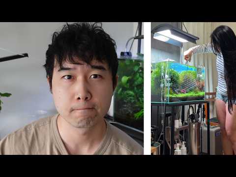 this is NOT A.I. generated | Fish Tank Review 362