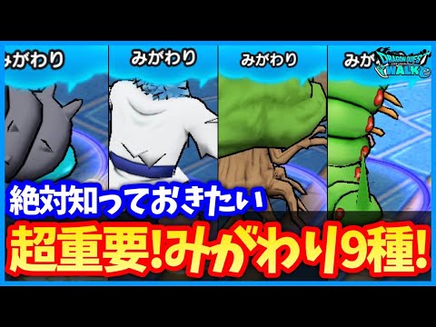 #546【ドラクエウォーク】超重要特性『みがわり』仲間モンスターおすすめ度まとめ！耐久力をグッと上げて最強パーティを作ろう！【2周年イベント】