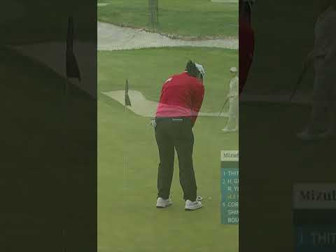 아쉽게 튕겨 나간 최혜진의 이글 펏 버디로 마무리합니다! #lpga #golf #골프 #최혜진 #이글찬스 #버디