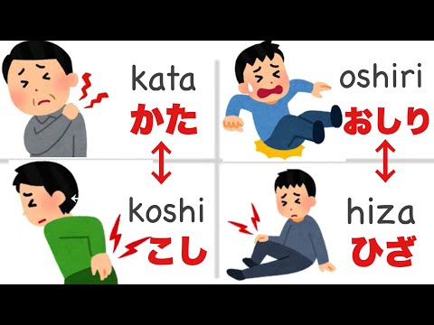 【Hiragana】日本語初心者が知っておくべき日本語50選/ 読み方レッスン