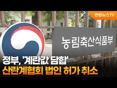 정부, '계란값 담합' 산란계협회 법인 허가 취소 / 연합뉴스TV (YonhapnewsTV)