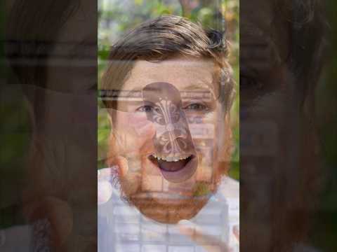No this is not a @FB.Christopher video sorry to disappoint you #kalyedecks #fingerboard