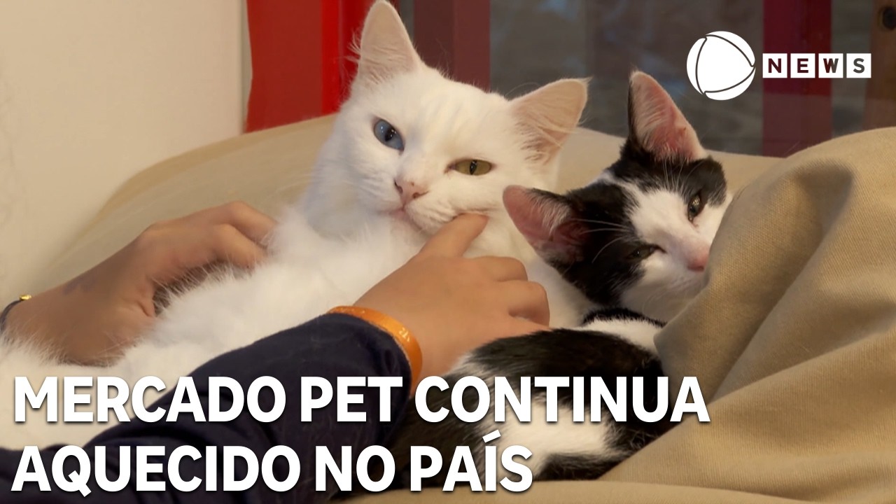 Nos últimos dois anos, abertura de pequenos negócios do mercado pet cresceu 22% no país