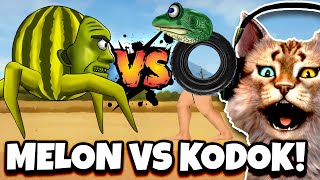 LIN GANG MELON VS BONECA AMBALABU !! 🙀 -  Anomali Brainrot Indonesia
