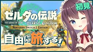 【ティアキン】自由な世界で寄り道大好き！初見【ゼルダの伝説ティアーズオブザキングダム 女性実況 VTuber なちゅモカ】159